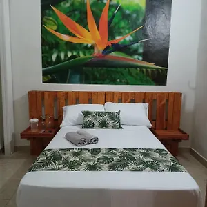 Guest house El Jardin Envigado